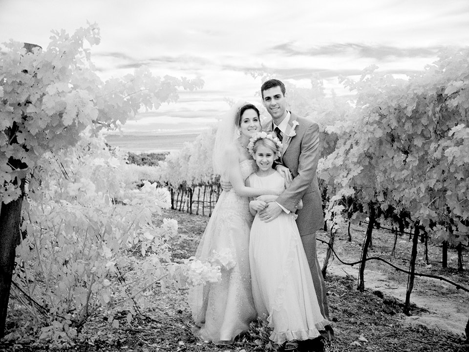 Winery wedding photographer