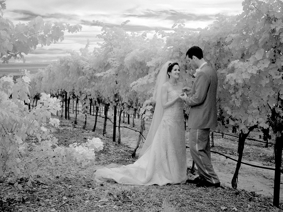 Winery wedding photographer